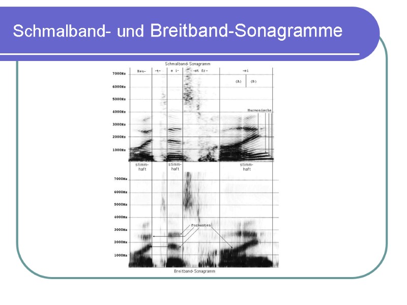 Schmalband- und Breitband-Sonagramme